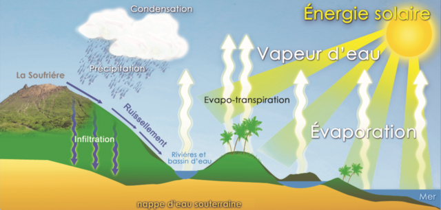 Cycle de l'eau et répartition de la ressource en eau en Guadeloupe