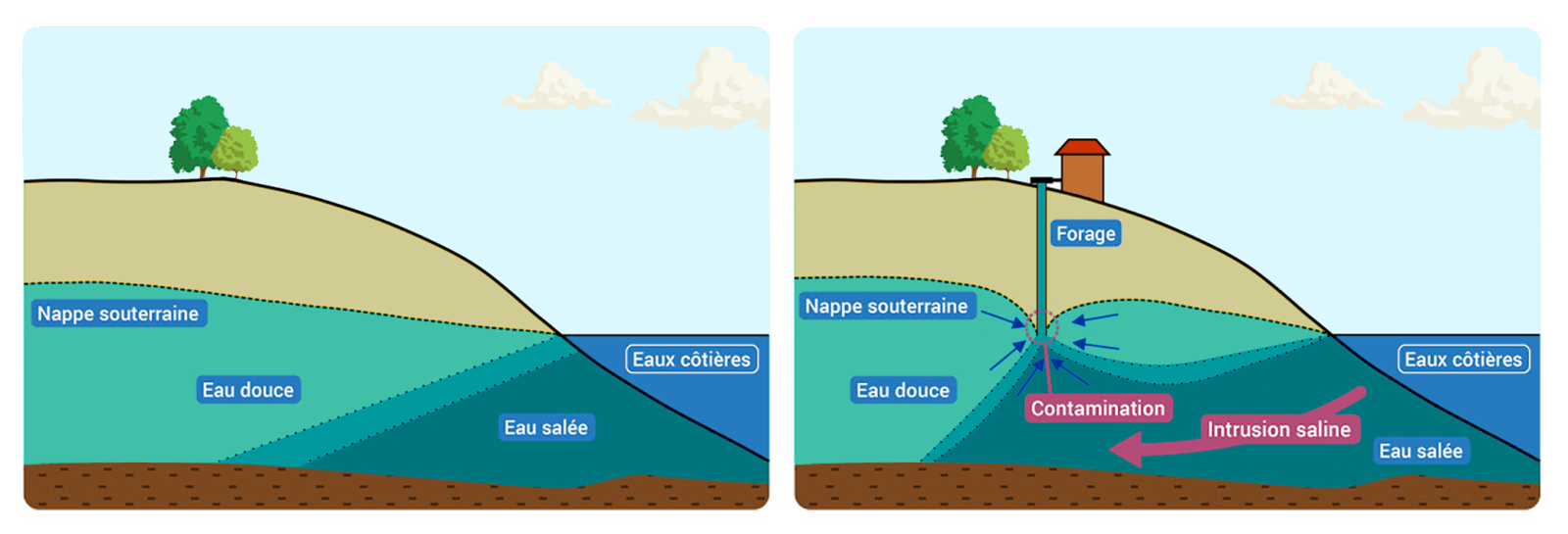 Règlementation et gestion de la ressource en eau en Guadeloupe